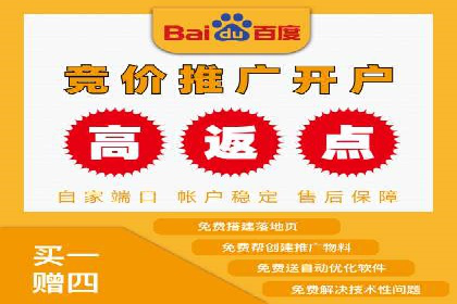案例剖析：关键词竞价排名成功之道