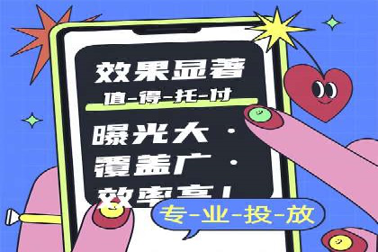 成功SEM托管案例解析